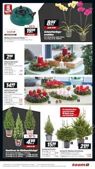 Weihnachtsbaum im toom Baumarkt Prospekt "Respekt, wer's selber macht." mit 18 Seiten (Soest)