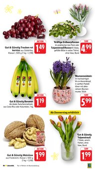 Bananen im EDEKA Prospekt "Aktuelle Angebote" mit 56 Seiten (Pforzheim)