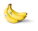 Penny Bempflingen - Bio-Bananen Angebot im Prospekt Bio-Bananen bei Penny im Bempflingen Prospekt für 1,79 €