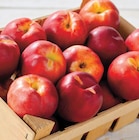 Nectarine en promo chez Netto Nectarine dans le catalogue Netto