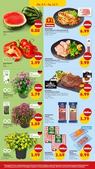 Schweinefilet im Penny Prospekt "Wer günstig will, muss Penny." mit 44 Seiten (Regensburg)