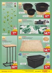 Lichterkette im Netto Marken-Discount Prospekt in Neuwied Aktueller Netto Marken-Discount Prospekt mit Lichterkette, "Aktuelle Angebote", Seite 33
