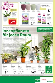 Ähnliche Angebote wie Kakteenerde im Prospekt "Prickelnder Jahreswechsel" auf Seite 10 von BayWa Bau- und Gartenmärkte in Reutlingen