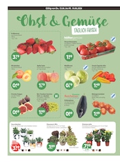 Erdbeeren im V-Markt Prospekt in Memmingen Aktueller V-Markt Prospekt mit Erdbeeren, "V-Markt einfach besser einkaufen", Seite 4