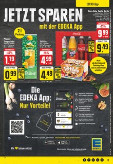 Cola im EDEKA Prospekt "Aktuelle Angebote" mit 28 Seiten (Bornheim)