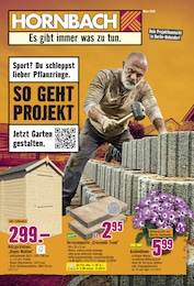 Hornbach Prospekt "Sport? Du schleppst lieber Pflanzringe." für Berlin, 33 Seiten, 13.03.2024 - 09.04.2024