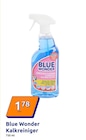 Kalkreiniger im Angebot bei Action in Nordhorn Kalkreiniger Angebote von Blue Wonder bei Action Nordhorn für 1,78 €