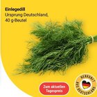 Aktuelles Einlegedill Angebot bei GLOBUS in Jena