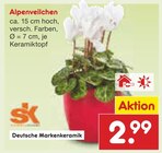 Aktuelle Pflanzen Angebote bei Netto Marken-Discount in Hildesheim Aktuelles Alpenveilchen Angebot bei Netto Marken-Discount in Hildesheim ab 2,99 €
