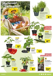 Gartenerde im Hagebaumarkt Prospekt in Bayreuth Aktueller Hagebaumarkt Prospekt mit Gartenerde, "Schenk mit uns von Herzen", Seite 7