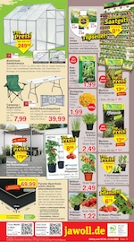 Aktueller Jawoll Prospekt mit Kohle, "Sonderposten-Märkte", Seite 16