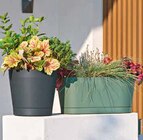 Pflanzgefäß „Orione“ von  im aktuellen Hagebaumarkt Prospekt für 6,99 €