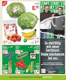 Obst im Marktkauf Prospekt "Aktuelle Angebote" mit 28 Seiten (Wuppertal)