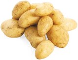 Speisekartoffeln im Angebot bei nahkauf in Hannover Speisekartoffeln Angebote bei nahkauf Hannover für 1,79 €