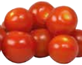 Aktuelles Bio-Cherry- oder Mini-Pflaumen-Tomaten Angebot bei EDEKA in München ab 1,29 €