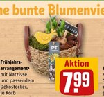 Frühjahrsarrangement Angebote bei REWE Krefeld für 7,99 €