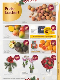 Pflanzen Angebot im aktuellen tegut Prospekt auf Seite 5