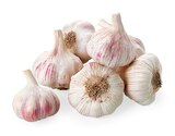 Knoblauch im Angebot bei REWE in Halle Knoblauch Angebote bei REWE Halle für 0,99 €