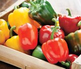 Promo Poivron Tricolore à 1,28 € dans le catalogue Intermarché Super à Le Pouliguen