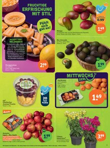 Äpfel im aktuellen tegut Prospekt (Fürth) Äpfel im tegut Prospekt "tegut… gute Lebensmittel" mit 23 Seiten (Fürth)