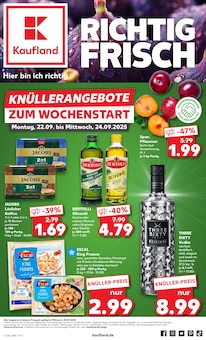 Kaufland Salzwedel (Hansestadt) Prospekt "KNÜLLER" mit 54 Seiten