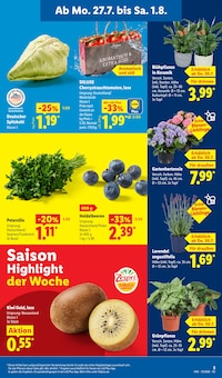 Hortensie im aktuellen Lidl Prospekt (Dresden) Hortensie im Lidl Prospekt "LIDL LOHNT SICH" mit 69 Seiten (Dresden)