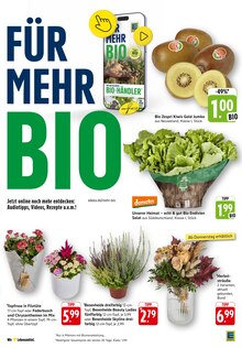 Blumen im E center Prospekt "Aktuelle Angebote" mit 91 Seiten (Offenbach (Main))
