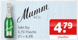 Sekt Dry Angebote von Mumm & Co. bei Getränke Oase Hamm für 4,79 €