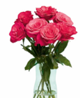 Großköpfige Hochland Rosen von  im aktuellen Netto Marken-Discount Prospekt für 4,44 €