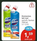 WC Gel Angebote von Domestos bei budni Stade für 1,59 €