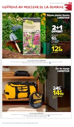 Offre Terreau dans le catalogue Carrefour Market du moment à la page 55