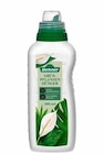 Grünpflanzendünger im Dehner Garten-Center Prospekt Grünpflanzendünger von Dehner im aktuellen Dehner Garten-Center Prospekt für 5,99 €