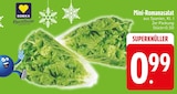 EDEKA Falkenstein - Mini-Romanasalat Angebot im Prospekt Mini-Romanasalat bei EDEKA im Falkenstein Prospekt für 0,99 €