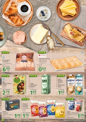 Falafel Angebote im Prospekt "cash & carry" von Selgros auf Seite 21