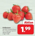 Erdbeeren im Angebot bei Markant Nordwest in Bad Oeynhausen Erdbeeren Angebote bei Markant Nordwest Bad Oeynhausen für 1,99 €