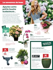 Hortensia Angebote im Prospekt "Mai, osez !" von Truffaut Hortensia Angebote im Prospekt "Mai, osez !" von Truffaut auf Seite 8