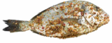 Grill-Dorade-Royal im Angebot bei Netto Marken-Discount in Schwerin Grill-Dorade-Royal Angebote bei Netto Marken-Discount Schwerin für 1,39 €