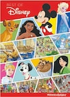 Wimmelbuch Angebote von Disney oder Pixar bei Lidl Bautzen für 4,99 €