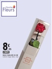 Rose stabilisée 50 cm à E.Leclerc dans Vaucelles Rose stabilisée 50 cm à E.Leclerc dans Vaucelles