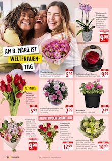 Tulpen im EDEKA Prospekt "Aktuelle Angebote" mit 38 Seiten (Ulm)