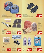 Aktueller famila Nordost Prospekt mit Autozubehör, "besser als gut!", Seite 22