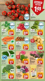 Blumen im REWE Prospekt in Schwabach Aktueller REWE Prospekt mit Blumen, "Dein Markt", Seite 7