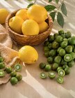 Zitronen im Angebot bei Netto Marken-Discount in Mülheim Zitronen Angebote bei Netto Marken-Discount Mülheim für 1,11 €