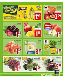Blumen im EDEKA Prospekt "Wir lieben Lebensmittel." mit 28 Seiten (Augsburg)