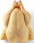 Aktuelles Französische Maishähnchen Angebot bei E center in Ludwigshafen (Rhein) ab 7,99 €