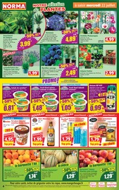 Promos Chocolat dans le catalogue "Votre Discounter Régional" de Norma Chocolat en promo dans le catalogue Norma à la page 4