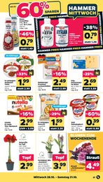 Teller Angebot & Preis im aktuellen Netto mit dem Scottie Prospekt Teller Angebot im aktuellen Netto mit dem Scottie Prospekt auf Seite 33