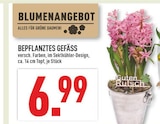 Bepflanztes Gefäss bei Marktkauf im Lage Prospekt für 6,99 €