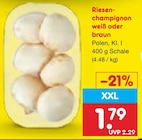 Riesenchampignon weiß oder braun im Angebot bei Netto Marken-Discount in Osnabrück Riesenchampignon weiß oder braun Angebote bei Netto Marken-Discount Osnabrück für 1,79 €