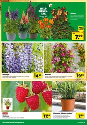 Blumentopf im Hagebaumarkt Prospekt in Amberg Aktueller Hagebaumarkt Prospekt mit Blumentopf, "Ab nach draußen? SO günstig geht das!", Seite 4